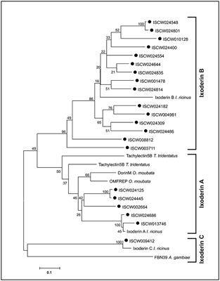 Characterization of Ixodes ricinus Fibrinogen-Related Proteins (Ixoderins) Discloses Their Function in the Tick Innate Immunity